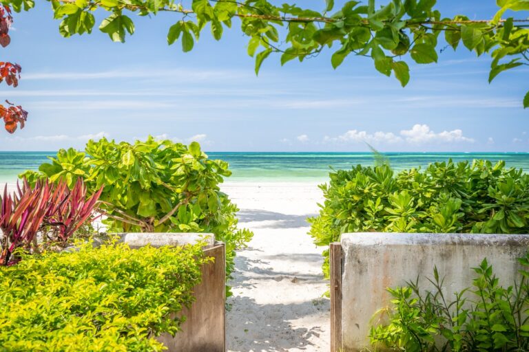 Panthera Tours and Safaris Zanzibar