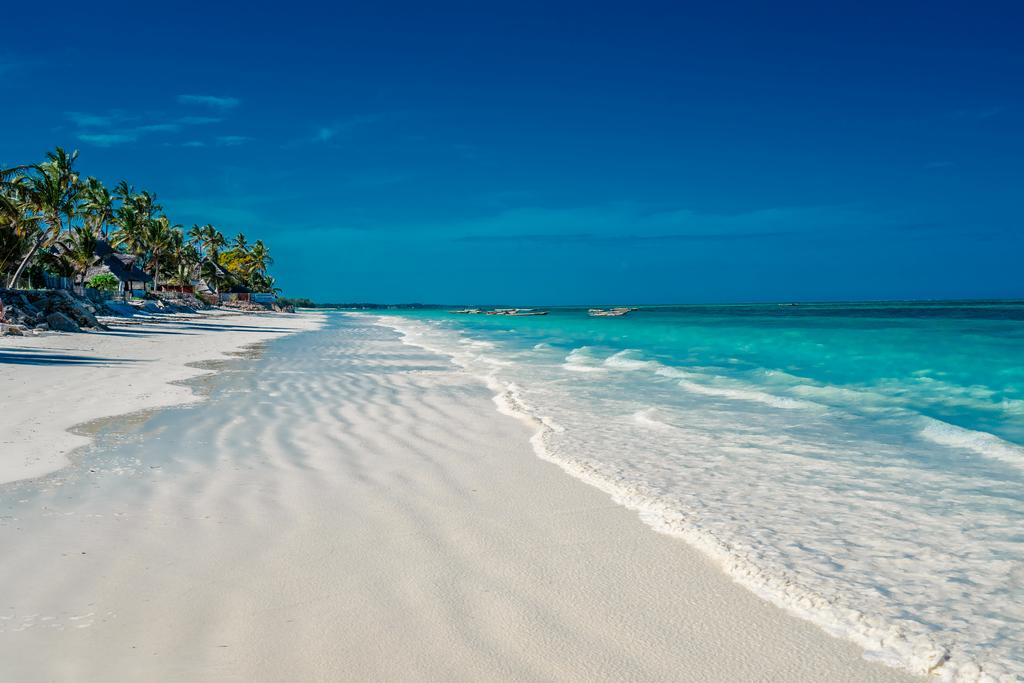 Panthera Tours and Safaris zanzibar
